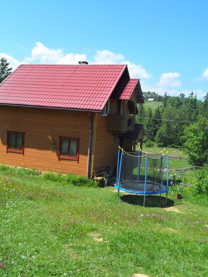 Lisovychok Villa Vorokhta Eksteriør bilde