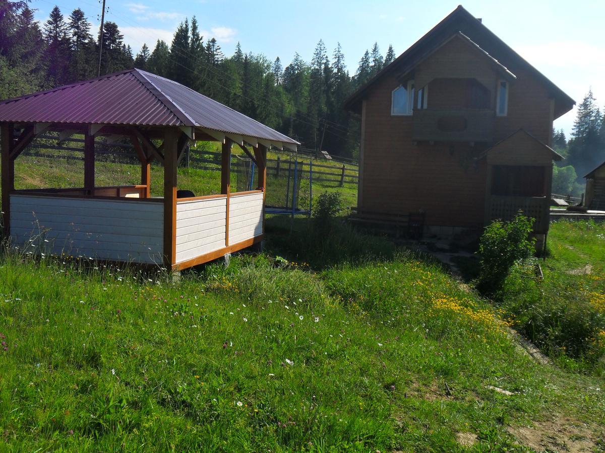 Lisovychok Villa Vorokhta Eksteriør bilde