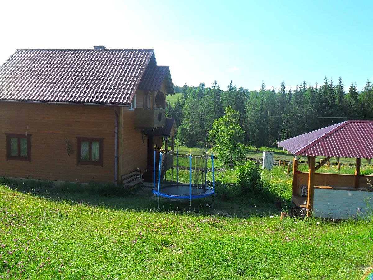 Lisovychok Villa Vorokhta Eksteriør bilde